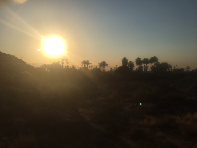 palmspringssun