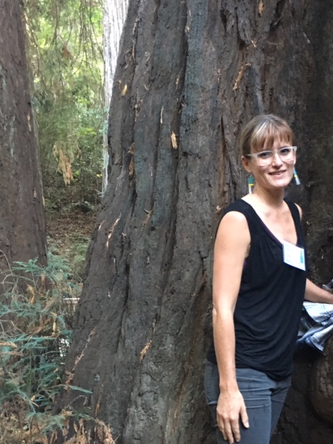 mollykrauseredwoodwriter